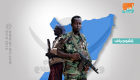 الإمارات والصومال.. 5 إجراءات حاسمة أسهمت بالقضاء على القرصنة 