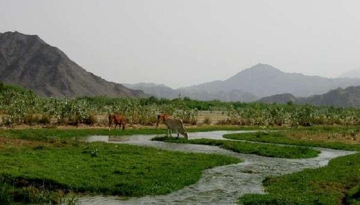 مدينة الباحة بالسعودية