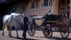 عربة ملكية بدون سقف لزفاف الأمير هاري وميجان ماركل 