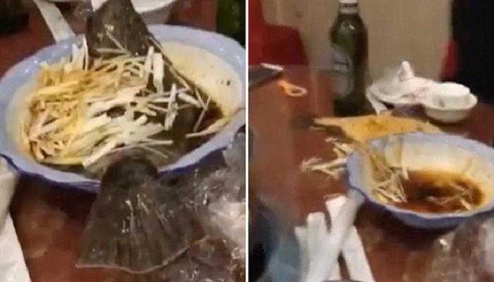 سمكة تقفز من الطبق بعد الطهي في الزيت