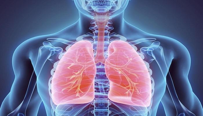 14 طريقة مهمة للوقاية من أمراض الجهاز التنفسي