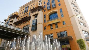 نمو كبير لأنشطة التجارة في دبي