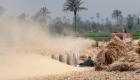 مصر تعدل شروط مناقصات استيراد القمح 