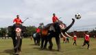 بالصور.. حملة بالأفيال لمناهضة المراهنات في تايلاند