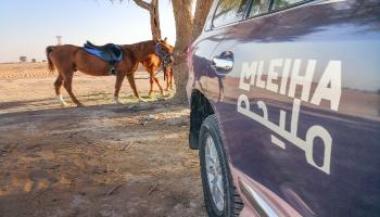 ركوب الخيل في مليحة