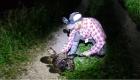 بالفيديو.. أمريكي ينقذ تمساحًا من قبضة ثعبان
