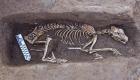 بالصور.. اكتشاف دفنات آدمية وحيوانية من عصر ما قبل التاريخ في مصر