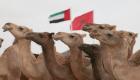 إقبال لافت على جناح الإمارات في مهرجان "طانطان" بالمغرب