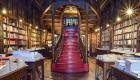 مكتبة ليلو بالبرتغال.. حوّلها "هاري بوتر" إلى مزار سياحي عالمي 
