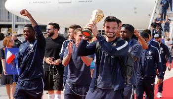 حصاد كأس العالم