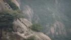 بالصور.. جولة في ثنايا الجبل الأصفر الصيني موطن أشجار الصنوبر