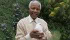العالم يحتفي بمئوية ميلاد نيلسون مانديلا