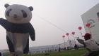 الإمارات أول دولة عربية تستضيف "الباندا الصيني"
