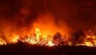 إجلاء آلاف السكان من منازلهم بسبب حريق متعمد في غابات كاليفورنيا 
