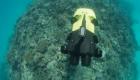 بالفيديو.. روبوت للقضاء على نجمات البحر المؤذية