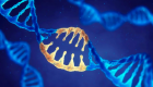 علماء ينجحون في استبدال المادة الوراثية المسببة للطفرات الجينية