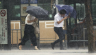 إعصار "جيبي" يقتل 10 في اليابان ويقطع الكهرباء عن مليوني منزل