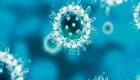فيروس كورونا يظهر في كوريا الجنوبية للمرة الأولى منذ 2015