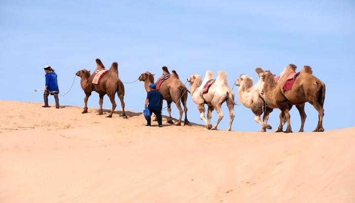إحدى المشاركات في مهرجان التصوير بمنغوليا