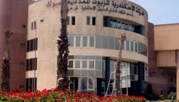 استثمارات جديدة في قطاع البترول بمصر