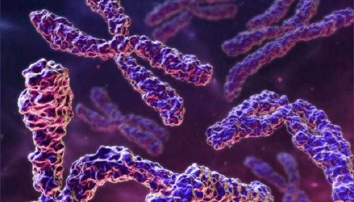 اكتشاف الجين يساهم في زيادة فاعلية العلاج