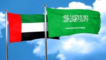 الإمارات والسعودية تقودان العالم في مشاريع الطاقة المتجددة