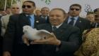المصالحة الجزائرية.. 13 عاما على ميثاق غيّر وجه البلاد