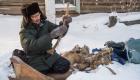 ثروة يحفظها الجليد منذ مليوني عام.. إقبال على عاج الماموث في سيبيريا