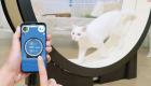 جهاز يساعد القطط على خسارة الوزن.. أحدث ابتكارات معرض CES 
