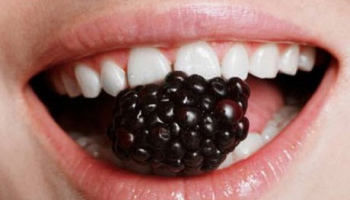 التوت البري مفيد لصحة الفم والأسنان