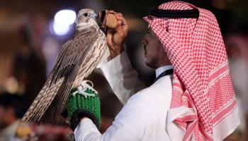 مهرجان الملك عبدالعزيز للصقور - أرشيفية