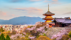 بالصور.. متحف المانجا وغابة الخيزران ضمن أبرز معالم "كيوتو" اليابانية