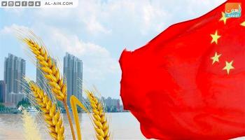 الصين تبدي استعدادها لشراء كمية من القمح الأمريكي