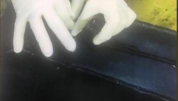 ضبطية الكوكايين يبلغ وزنها 65 كيلوجراما