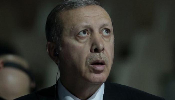 إهانة الرئيس.. فزاعة أردوغان لسحق المعارضين