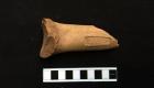 بالصور.. اكتشاف "معصرة" أثرية من العصر البطلمي شمال مصر