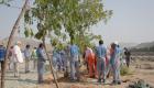 أبناء الجاليات يزرعون 70 شجرة في الفجيرة ضمن عام التسامح بالإمارات