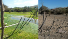 الجفاف يهاجم تشيلي.. والأفوكادو متهم