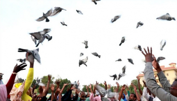 ماراثون للحمام الزاجل في السودان من أجل السلام