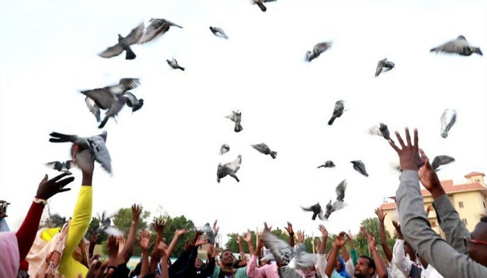 ماراثون للحمام الزاجل في السودان من أجل السلام
