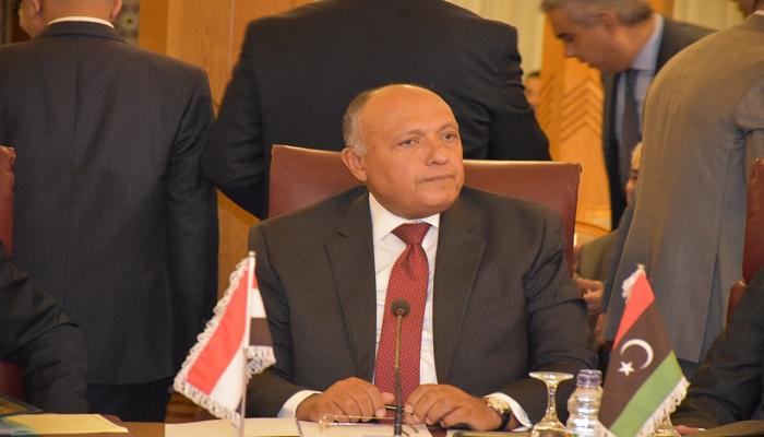 وزير الخارجية المصري سامح شكري