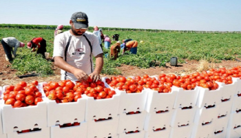 خطة فلسطين للتحرر الاقتصادي تواجه ضغوطا