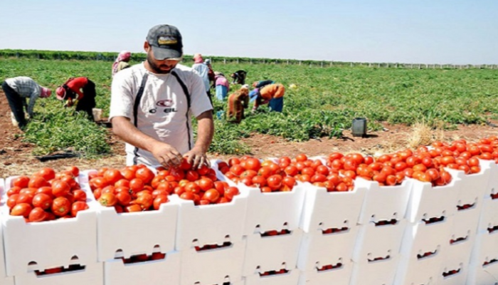 خطة فلسطين للتحرر الاقتصادي تواجه ضغوطا