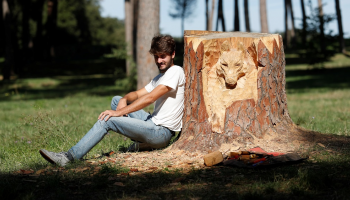 أندريا جانديني حوّل جذوع الأشجار الميّتة إلى قطع فنيّة