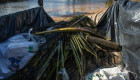 تلوث نفطي يضرب شاطئ كارنيروس البرازيلي