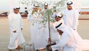 زراعة شجرة الغاف في قلب القرية التراثية
