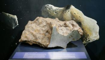 النيزك "مونت ديو" في المعرض قبل المزاد