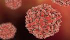 فيروس شلل الأطفال.. استهداف مباشر لخلايا البشر 