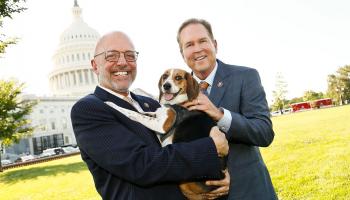 النائبان ديوتش وبوكانان أمام الكونجرس- أرشيفية