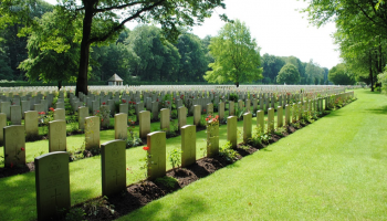 سيتاح وضع جرة تحوي رفات الحيوان الأليف في قبر صاحبه- أرشيفية